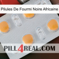 African Black Ant Pills 24
